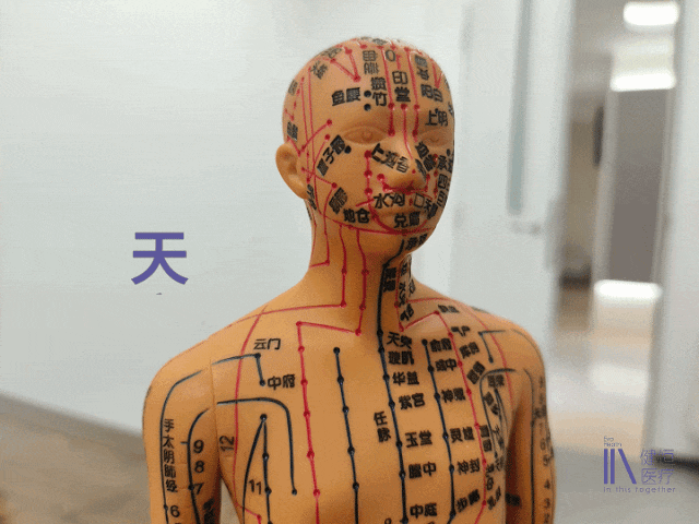 /uploads/image/2025/07/17/700000264.gif 700000264.gif